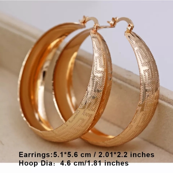 Trendy Round Hoop Earrings Gold Plated Copper Earrings - Picture 2 of 5